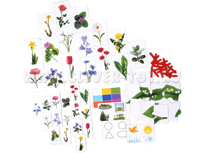 Набор магнитных карточек "Загадки-отрицания". Цветы.