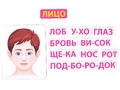 Магнитное развивающее пособие: "Тело человека: первые вопросы - первые ответы"