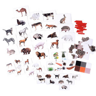 Набор магнитных карточек "Загадки-отрицания". Животные.